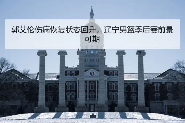 郭艾伦伤病恢复状态回升，辽宁男篮季后赛前景可期