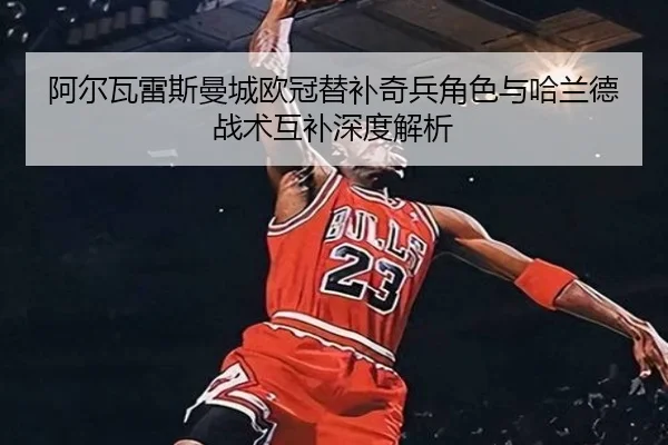 a-er-wa-lei-si-man-cheng-ou-guan-ti-bu-qi-bing-jue-se-yu-ha-lan-de-zhan-shu-hu-bu-shen-du-jie-xi-2-300.jpg