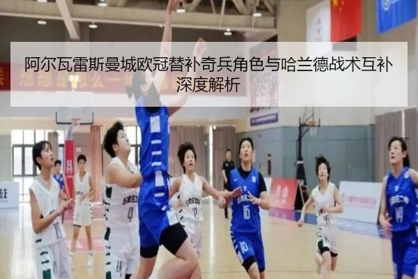 a-er-wa-lei-si-man-cheng-ou-guan-ti-bu-qi-bing-jue-se-yu-ha-lan-de-zhan-shu-hu-bu-shen-du-jie-xi-3-302.jpg