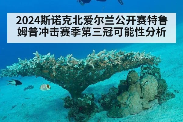 2024斯诺克北爱尔兰公开赛特鲁姆普冲击赛季第三冠可能性分析